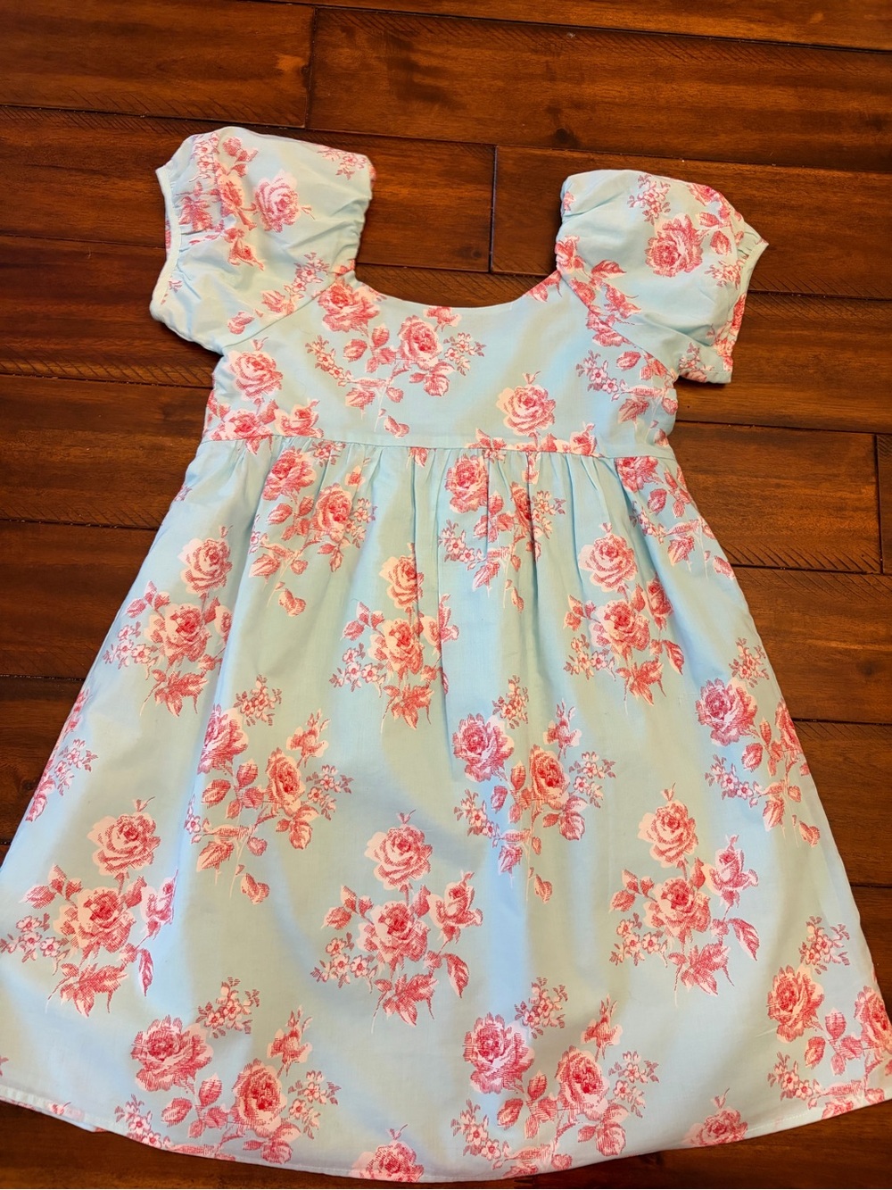 Janie and Jack Pale Blue Dress with Pink Rose Print and Puff Sleeves